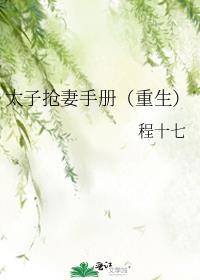 太子被抢婚以后