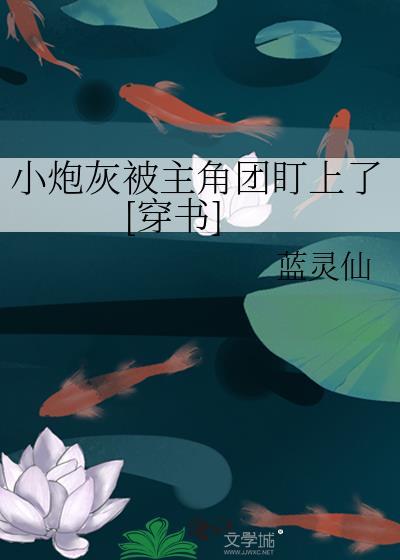 小炮灰什么意思