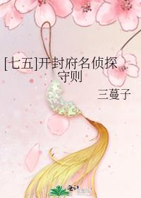 开封侦探怎么收费的