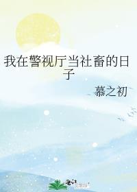 我在警视厅当卧底33