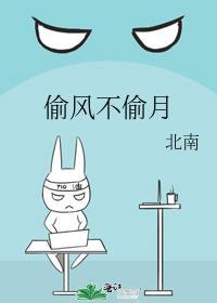 偷风不偷月讲的什么内容