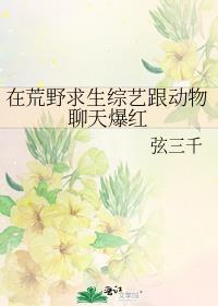 一个荒野求生的节目