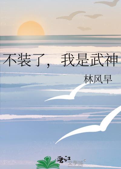 我是武神 林风