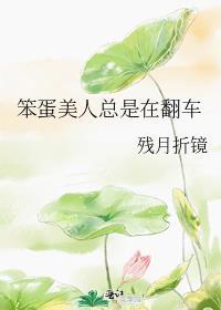 笨蛋美人总是在翻车免费