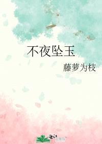 不夜坠玉多少字