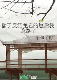 揣了反派龙君的崽后我跑路了目
