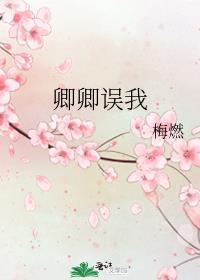 卿卿误我我误卿卿书说至此有始有终是什么意思