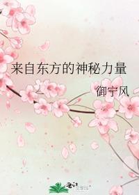 老婆你是做什么工作的番外