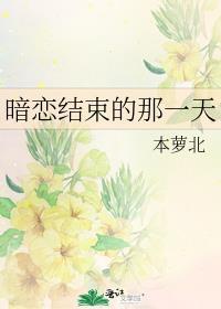 暗恋结束的那一天笔趣阁