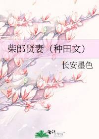 柴郎贤妻(种田文)txt