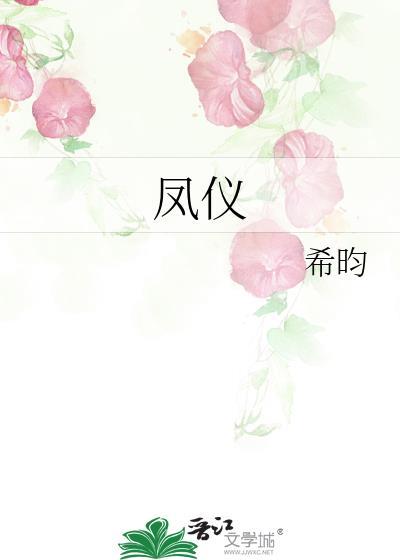 凤仪街