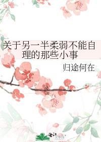 关于另一半柔弱不能自理的那些小事 归途何在