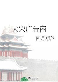 大宋广告商TXT
