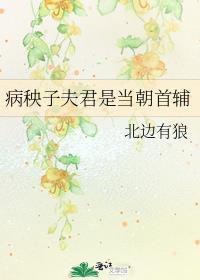 病秧子夫君是当朝首辅番外