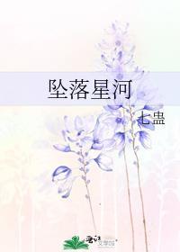 坠落星河里的光