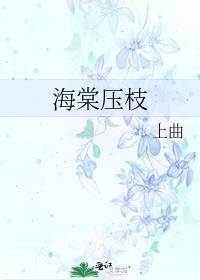 海棠压枝低复举 风吹山角晦还明对象发这两句什么意思