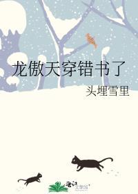龙傲天穿错书了TXT