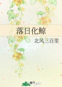 落日与鲸的故事