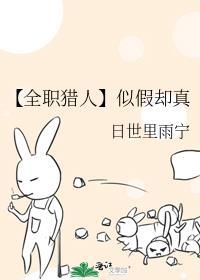 全职猎人表里如一