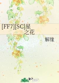 ff7 星辰守护