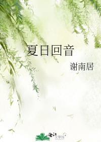 夏日回音柳爽歌词