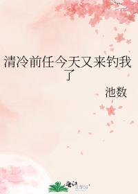 清冷前任今天又来钓我了池数免费看