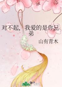 对不起我爱你 什么歌