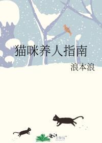 猫咪饲养法则