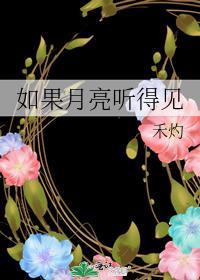 歌曲如果月亮有眼