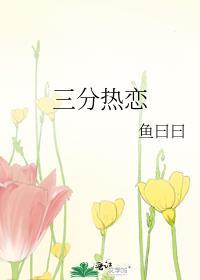 三分热度的感情