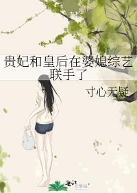 贵妃皇贵妃和皇后的区别