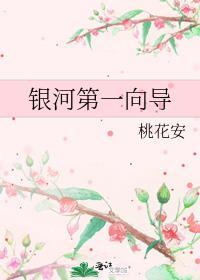 或有情txt百度提取码