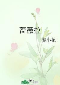 蔷薇控股到底是家什么公司