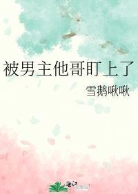 被男主他哥盯上了免费阅读
