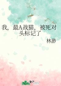 被死对头标记了 作者林渺