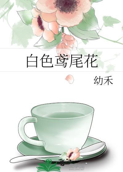 白色的鸢尾