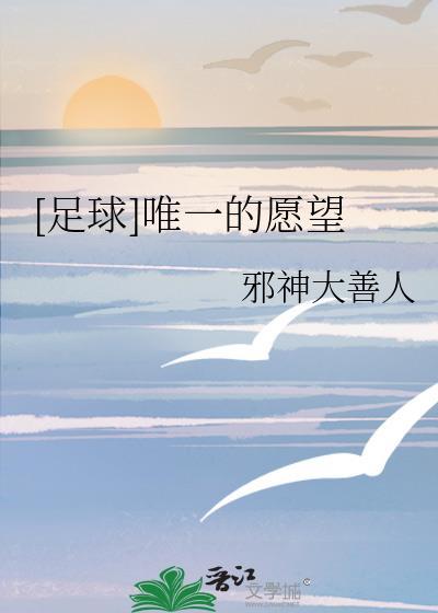 足球唯一的愿望txt