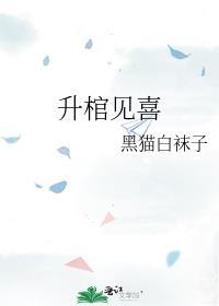 升棺见喜TXT