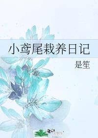 别叼着狗!讲的是什么
