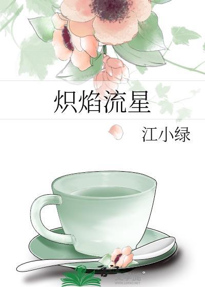 炽焰流星完结番外