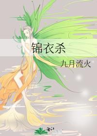 锦衣杀明TXT