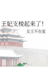 王妃之死