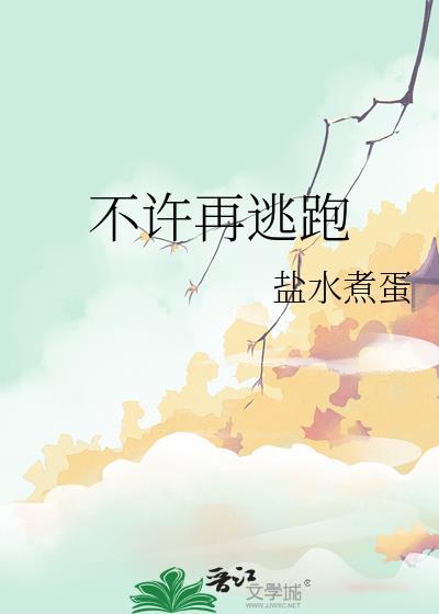 不许再逃跑 宁泠