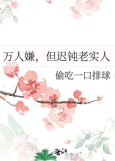 但迟钝老实人TXT