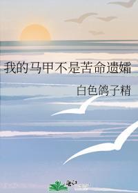 我的马甲不是苦命遗孀旧版