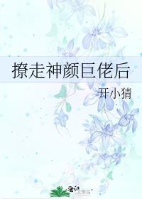 撩走神颜巨佬后全文免费阅读