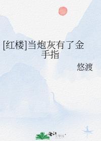 红楼炮灰攻略txt书包