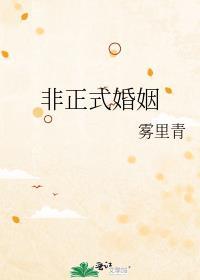 非正式婚姻TXT雾里青