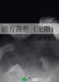 前方高能预警全文无弹窗免费阅读