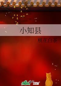 小知县全文免费阅读笔趣阁